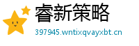 睿新策略